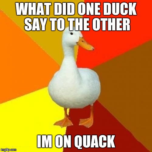 Tech Impaired Duck | WHAT DID ONE DUCK SAY TO THE OTHER; IM ON QUACK | image tagged in memes,tech impaired duck | made w/ Imgflip meme maker