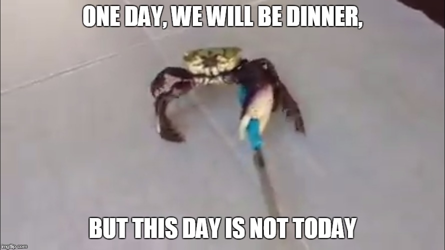 The Warrior Crab | ONE DAY, WE WILL BE DINNER, BUT THIS DAY IS NOT TODAY | image tagged in crab,crabs,memes,meme,new meme | made w/ Imgflip meme maker
