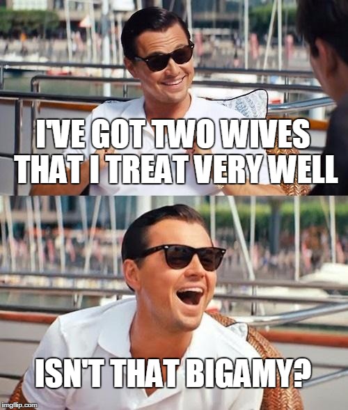 Leonardo Dicaprio Wolf Of Wall Street | I'VE GOT TWO WIVES THAT I TREAT VERY WELL; ISN'T THAT BIGAMY? | image tagged in memes,leonardo dicaprio wolf of wall street | made w/ Imgflip meme maker