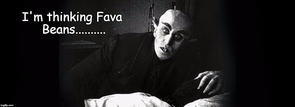 I'm thinking Fava Beans.......... | made w/ Imgflip meme maker