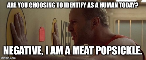 Self identified species identity.  The next liberal rights movement. | ARE YOU CHOOSING TO IDENTIFY AS A HUMAN TODAY? NEGATIVE, I AM A MEAT POPSICKLE. | image tagged in memes,fifth element | made w/ Imgflip meme maker