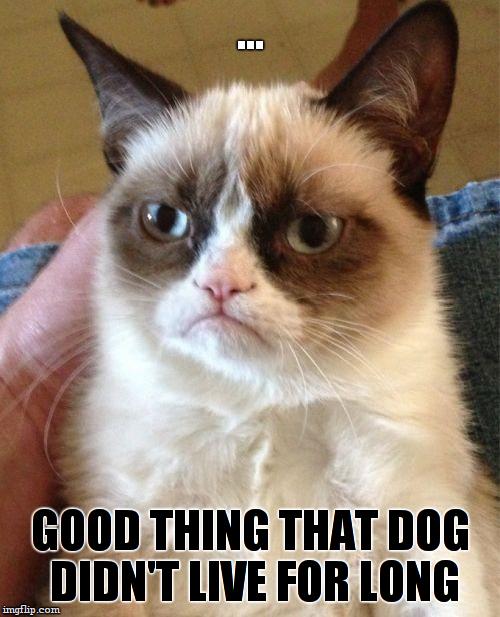 Grumpy Cat Meme | ... GOOD THING THAT DOG DIDN'T LIVE FOR LONG | image tagged in memes,grumpy cat | made w/ Imgflip meme maker