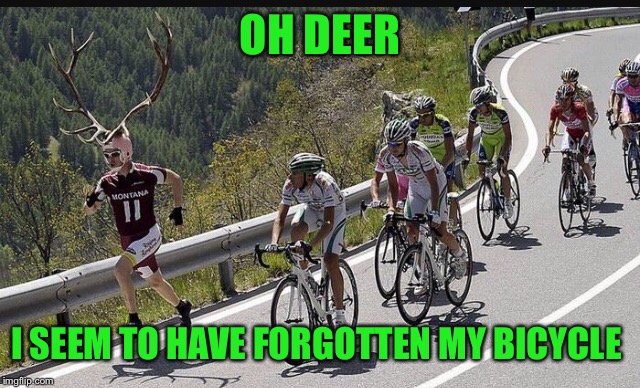 OH DEER I SEEM TO HAVE FORGOTTEN MY BICYCLE | made w/ Imgflip meme maker