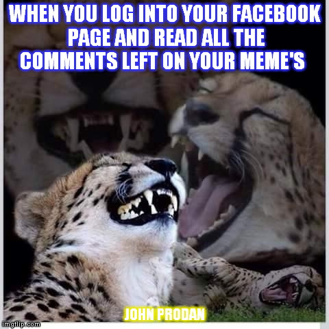 Funny cats | WHEN YOU LOG INTO YOUR FACEBOOK PAGE AND READ ALL THE COMMENTS LEFT ON YOUR MEME'S; JOHN PRODAN | image tagged in funny cats | made w/ Imgflip meme maker