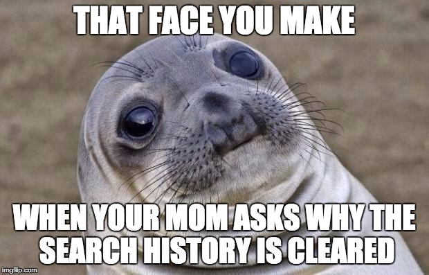 That face you make | THAT FACE YOU MAKE; WHEN YOUR MOM ASKS WHY THE SEARCH HISTORY IS CLEARED | image tagged in memes,awkward moment sealion | made w/ Imgflip meme maker