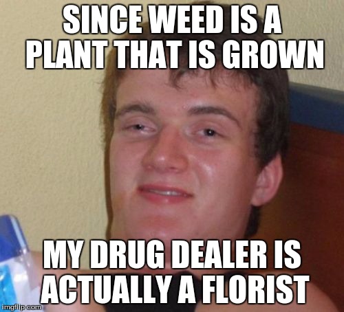 10 Guy Meme | SINCE WEED IS A PLANT THAT IS GROWN; MY DRUG DEALER IS ACTUALLY A FLORIST | image tagged in memes,10 guy | made w/ Imgflip meme maker