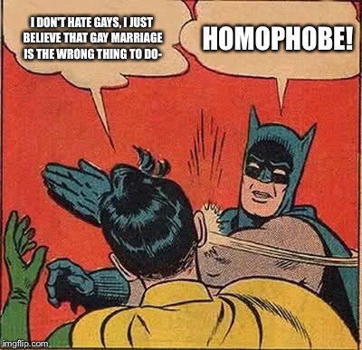 Batman Slapping Robin | I DON'T HATE GAYS, I JUST BELIEVE THAT GAY MARRIAGE IS THE WRONG THING TO DO-; HOMOPHOBE! | image tagged in memes,batman slapping robin | made w/ Imgflip meme maker