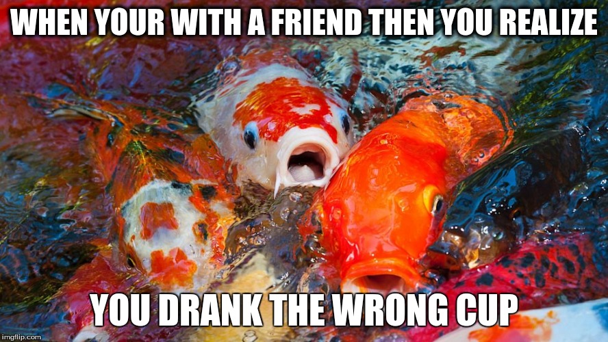 That Moment  | WHEN YOUR WITH A FRIEND THEN YOU REALIZE; YOU DRANK THE WRONG CUP | image tagged in fish | made w/ Imgflip meme maker