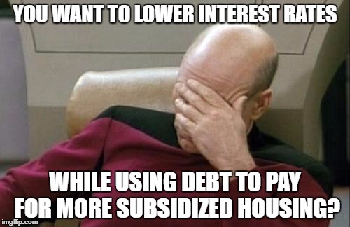 Captain Picard Facepalm | YOU WANT TO LOWER INTEREST RATES; WHILE USING DEBT TO PAY FOR MORE SUBSIDIZED HOUSING? | image tagged in memes,captain picard facepalm,interest rates,finance,government | made w/ Imgflip meme maker