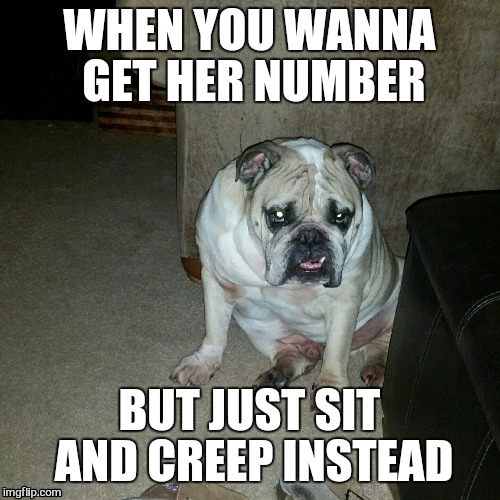WHEN YOU WANNA GET HER NUMBER; BUT JUST SIT AND CREEP INSTEAD | image tagged in memes | made w/ Imgflip meme maker