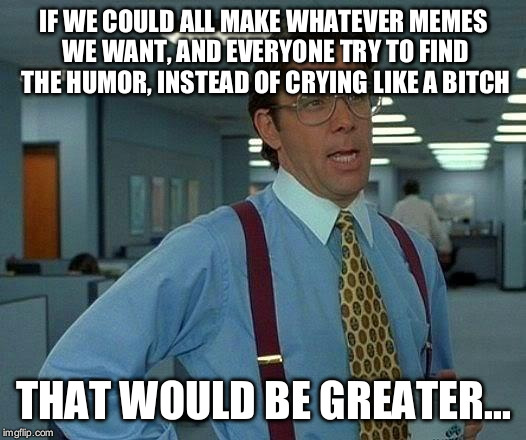 That Would Be Great Meme | IF WE COULD ALL MAKE WHATEVER MEMES WE WANT, AND EVERYONE TRY TO FIND THE HUMOR, INSTEAD OF CRYING LIKE A B**CH THAT WOULD BE GREATER... | image tagged in memes,that would be great | made w/ Imgflip meme maker