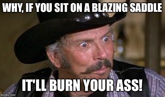 WHY, IF YOU SIT ON A BLAZING SADDLE IT'LL BURN YOUR ASS! | made w/ Imgflip meme maker