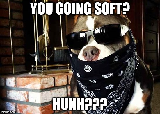 YOU GOING SOFT? HUNH??? | made w/ Imgflip meme maker