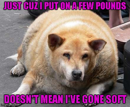 JUST CUZ I PUT ON A FEW POUNDS DOESN'T MEAN I'VE GONE SOFT | made w/ Imgflip meme maker