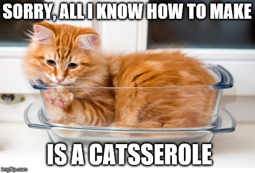 hmm, probably needs catsup.  | SORRY, ALL I KNOW HOW TO MAKE; IS A CATSSEROLE | image tagged in memes,cats,animals | made w/ Imgflip meme maker