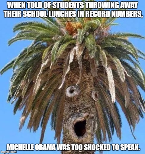 Michelle Obama | WHEN TOLD OF STUDENTS THROWING AWAY THEIR SCHOOL LUNCHES IN RECORD NUMBERS, MICHELLE OBAMA WAS TOO SHOCKED TO SPEAK. | image tagged in michelle obama,angry school boy,lunch time | made w/ Imgflip meme maker