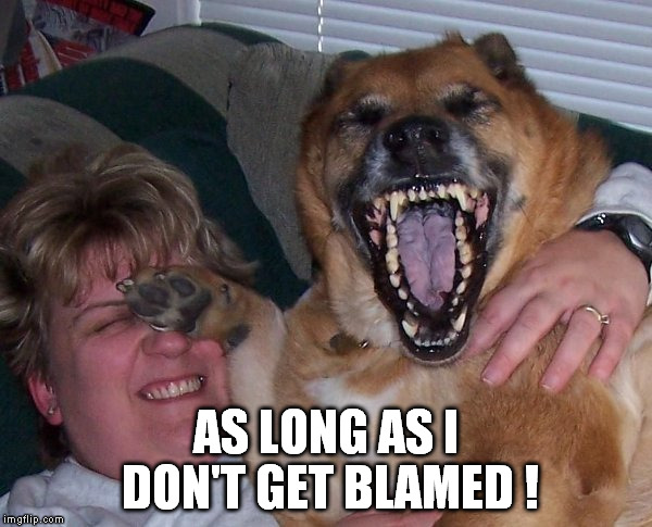 laughing dog | AS LONG AS I DON'T GET BLAMED ! | image tagged in laughing dog | made w/ Imgflip meme maker