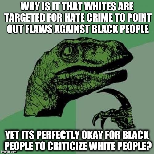Philosoraptor | WHY IS IT THAT WHITES ARE TARGETED FOR HATE CRIME TO POINT OUT FLAWS AGAINST BLACK PEOPLE; YET ITS PERFECTLY OKAY FOR BLACK PEOPLE TO CRITICIZE WHITE PEOPLE? | image tagged in memes,philosoraptor | made w/ Imgflip meme maker