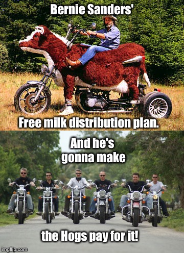 Who says Bernie is all unicorns & maryjane? | Bernie Sanders'; Free milk distribution plan. And he's gonna make; the Hogs pay for it! | image tagged in meme,bernie sanders,free milk,hog bikers,socialism | made w/ Imgflip meme maker