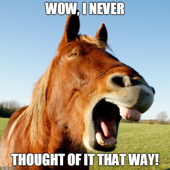 WOW, I NEVER THOUGHT OF IT THAT WAY! | image tagged in laughing horse | made w/ Imgflip meme maker