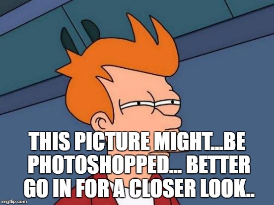 Futurama Fry Meme | THIS PICTURE MIGHT...BE PHOTOSHOPPED... BETTER GO IN FOR A CLOSER LOOK.. | image tagged in memes,futurama fry | made w/ Imgflip meme maker