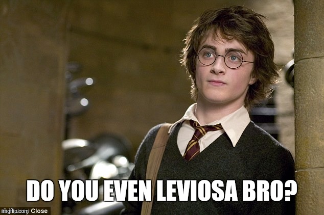 DO YOU EVEN LEVIOSA BRO? | image tagged in harry potter,do you even lift | made w/ Imgflip meme maker