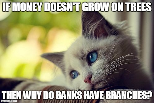 First World Problems Cat | IF MONEY DOESN'T GROW ON TREES; THEN WHY DO BANKS HAVE BRANCHES? | image tagged in memes,first world problems cat | made w/ Imgflip meme maker
