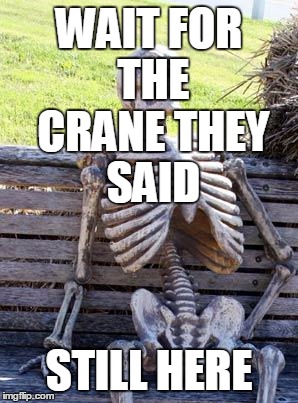 Waiting Skeleton | WAIT FOR THE CRANE THEY SAID; STILL HERE | image tagged in memes,waiting skeleton | made w/ Imgflip meme maker