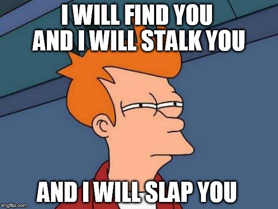 Futurama Fry | I WILL FIND YOU  AND I WILL STALK YOU; AND I WILL SLAP YOU | image tagged in memes,futurama fry | made w/ Imgflip meme maker