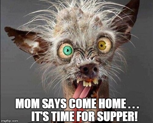 MOM SAYS COME HOME . . .       IT'S TIME FOR SUPPER! | made w/ Imgflip meme maker