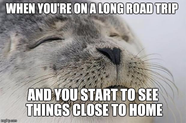 Satisfied Seal Meme | WHEN YOU'RE ON A LONG ROAD TRIP; AND YOU START TO SEE THINGS CLOSE TO HOME | image tagged in memes,satisfied seal,AdviceAnimals | made w/ Imgflip meme maker