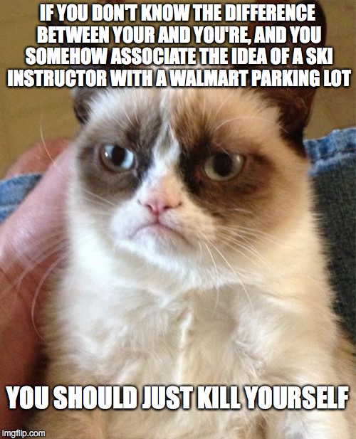 Grumpy Cat Meme | IF YOU DON'T KNOW THE DIFFERENCE BETWEEN YOUR AND YOU'RE, AND YOU SOMEHOW ASSOCIATE THE IDEA OF A SKI INSTRUCTOR WITH A WALMART PARKING LOT  | image tagged in memes,grumpy cat | made w/ Imgflip meme maker
