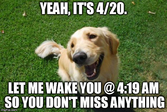 Happy Dog | YEAH, IT'S 4/20. LET ME WAKE YOU @ 4:19 AM SO YOU DON'T MISS ANYTHING | image tagged in happy dog,AdviceAnimals | made w/ Imgflip meme maker