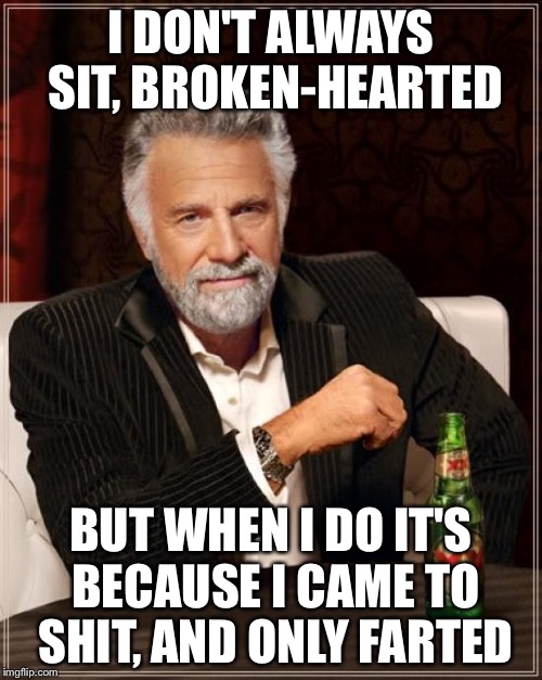 I'm sorry, I just had to do this. | I DON'T ALWAYS SIT, BROKEN-HEARTED; BUT WHEN I DO IT'S BECAUSE I CAME TO SHIT, AND ONLY FARTED | image tagged in memes,the most interesting man in the world,nsfw,toilet humor | made w/ Imgflip meme maker