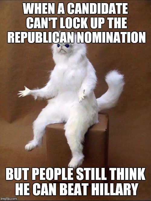 Trump and Cruz, I'm looking at both of you. | WHEN A CANDIDATE CAN'T LOCK UP THE REPUBLICAN NOMINATION; BUT PEOPLE STILL THINK HE CAN BEAT HILLARY | image tagged in cat shrug,donald trump,republicans,ted cruz | made w/ Imgflip meme maker