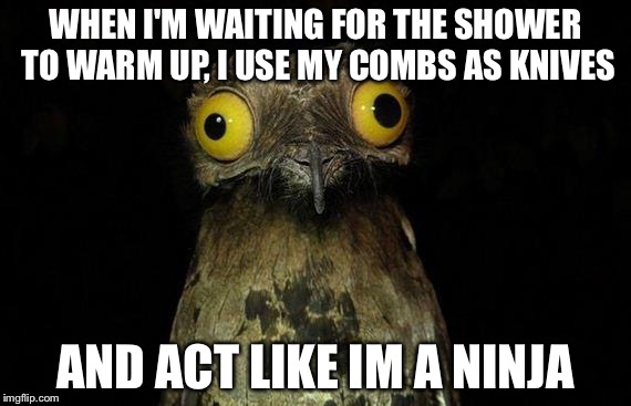 I just throw them at my bottles... FEEL LIKE A NINJA | WHEN I'M WAITING FOR THE SHOWER TO WARM UP, I USE MY COMBS AS KNIVES; AND ACT LIKE IM A NINJA | image tagged in memes,weird stuff i do potoo,ninja,combs,feel like a ninja | made w/ Imgflip meme maker