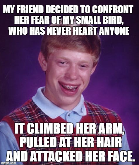Bad Luck Brian Meme | MY FRIEND DECIDED TO CONFRONT HER FEAR OF MY SMALL BIRD, WHO HAS NEVER HEART ANYONE; IT CLIMBED HER ARM, PULLED AT HER HAIR AND ATTACKED HER FACE. | image tagged in memes,bad luck brian | made w/ Imgflip meme maker