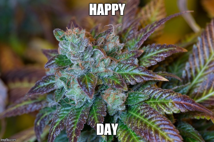 HAPPY; DAY | image tagged in good | made w/ Imgflip meme maker
