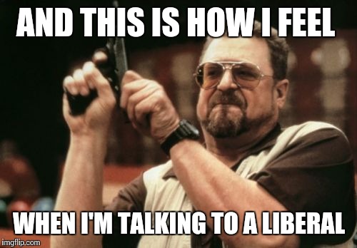 Am I The Only One Around Here Meme | AND THIS IS HOW I FEEL WHEN I'M TALKING TO A LIBERAL | image tagged in memes,am i the only one around here | made w/ Imgflip meme maker