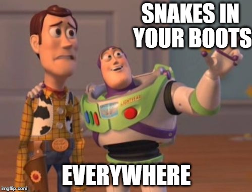 Sneaky Snakes | SNAKES IN YOUR BOOTS; EVERYWHERE | image tagged in memes,x x everywhere,funny,buzz lightyear | made w/ Imgflip meme maker