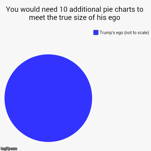 Trump's ego | image tagged in funny,pie charts | made w/ Imgflip chart maker