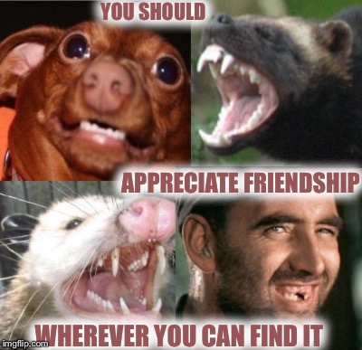 BUT KNOW WHO YOUR FRIENDS ARE | YOU SHOULD; APPRECIATE FRIENDSHIP; WHEREVER YOU CAN FIND IT | image tagged in friendship | made w/ Imgflip meme maker