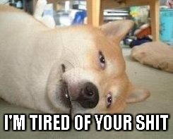 I'M TIRED OF YOUR SHIT | image tagged in doge,shit,bullshit | made w/ Imgflip meme maker
