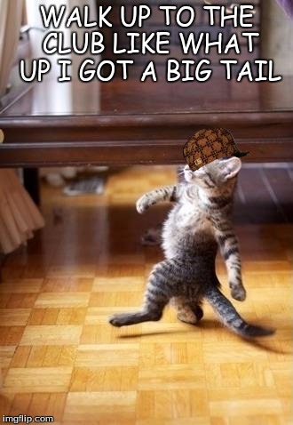 Cool Cat Stroll | WALK UP TO THE CLUB LIKE WHAT UP I GOT A BIG TAIL | image tagged in memes,cool cat stroll,scumbag | made w/ Imgflip meme maker