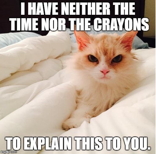 I HAVE NEITHER THE TIME NOR THE CRAYONS; TO EXPLAIN THIS TO YOU. | made w/ Imgflip meme maker