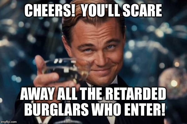 Leonardo Dicaprio Cheers Meme | CHEERS!  YOU'LL SCARE AWAY ALL THE RETARDED BURGLARS WHO ENTER! | image tagged in memes,leonardo dicaprio cheers | made w/ Imgflip meme maker