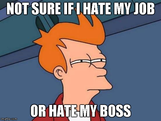 Futurama Fry | NOT SURE IF I HATE MY JOB; OR HATE MY BOSS | image tagged in memes,futurama fry | made w/ Imgflip meme maker