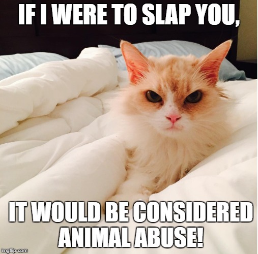 IF I WERE TO SLAP YOU, IT WOULD BE CONSIDERED ANIMAL ABUSE! | made w/ Imgflip meme maker