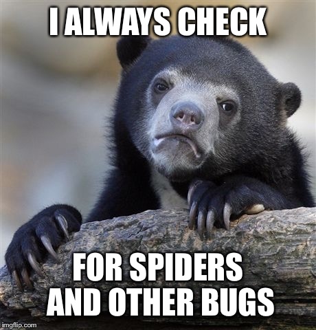 Confession Bear Meme | I ALWAYS CHECK FOR SPIDERS AND OTHER BUGS | image tagged in memes,confession bear | made w/ Imgflip meme maker