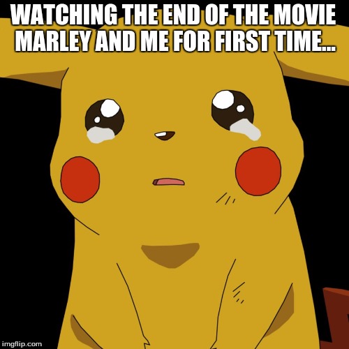 pokemon | WATCHING THE END OF THE MOVIE MARLEY AND ME FOR FIRST TIME... | image tagged in pokemon | made w/ Imgflip meme maker